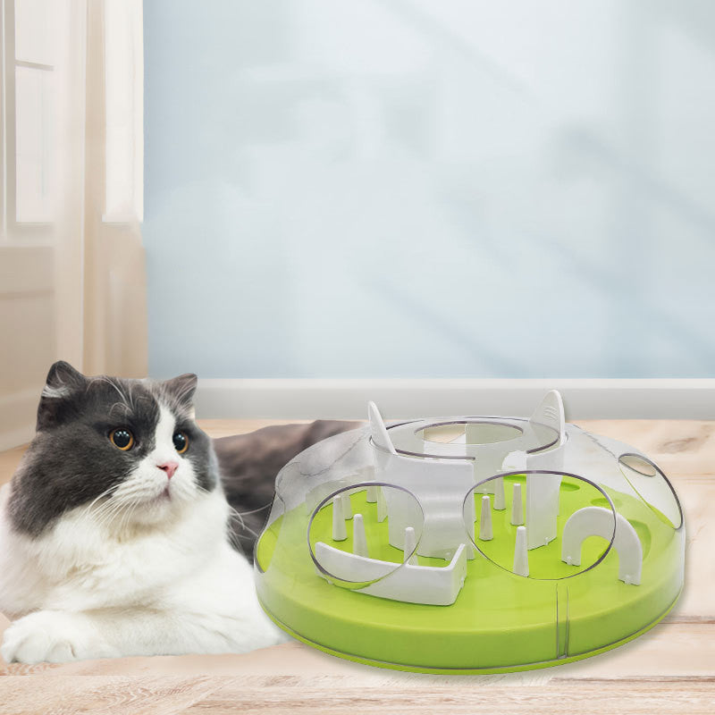Cat slow-feeder puzzle bowl