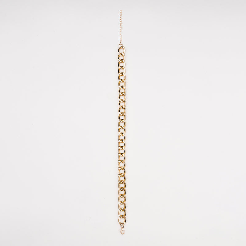 Gold pet necklace