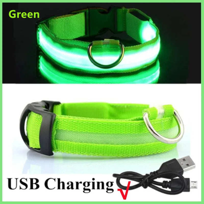 LED Glow-in-the-Dark Collar