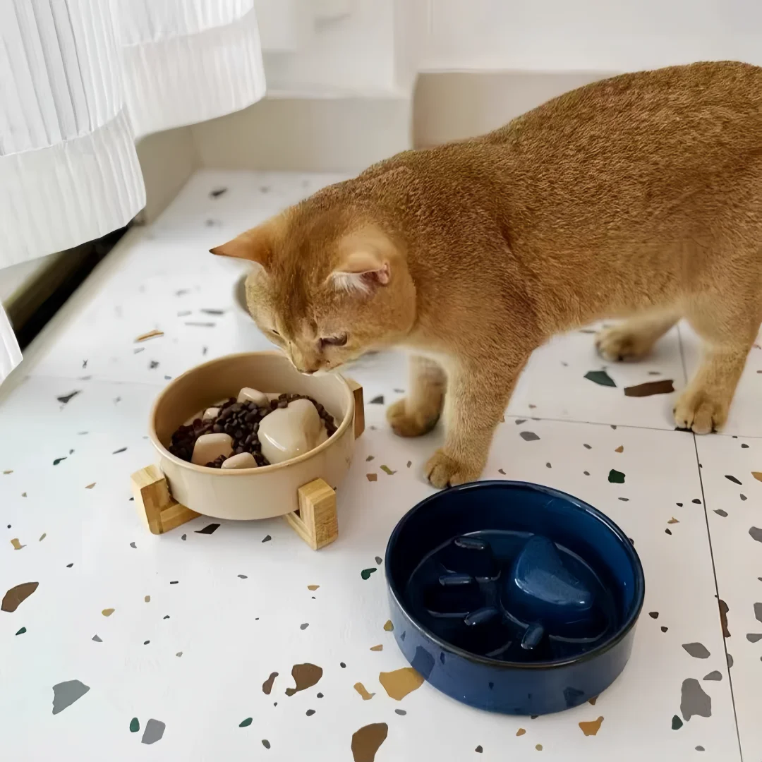 Elevated ceramic anti-tip pet bowl
