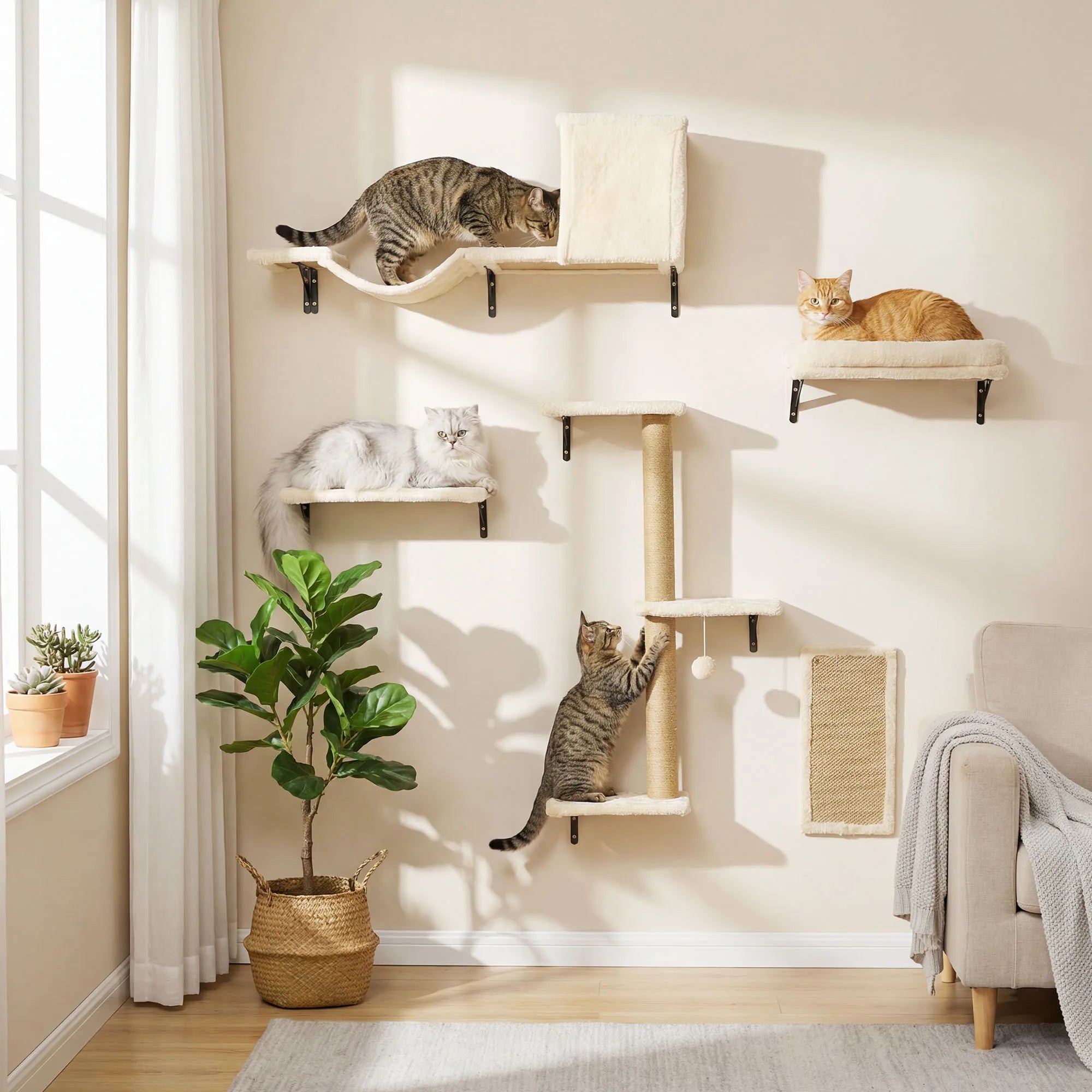 Solid wood cat wall climbing furniture set