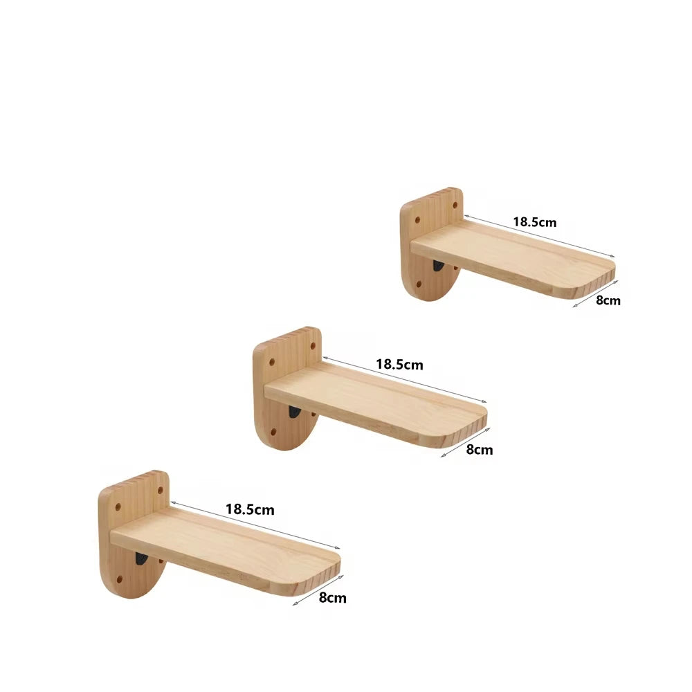 Modular Wall Climbing Shelf