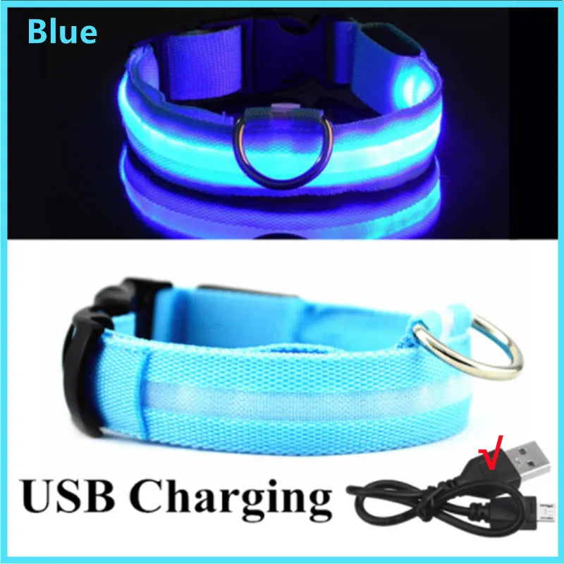 LED Glow-in-the-Dark Collar
