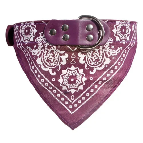 Bandana Print Collar