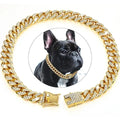 Gold chain pet collar