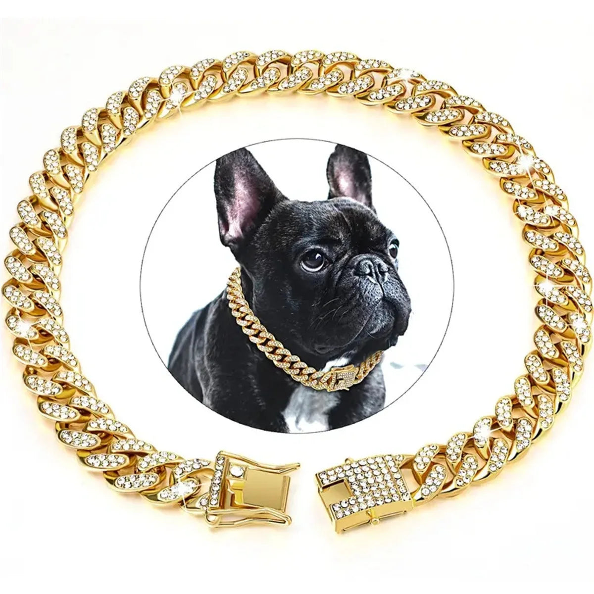 Gold chain pet collar