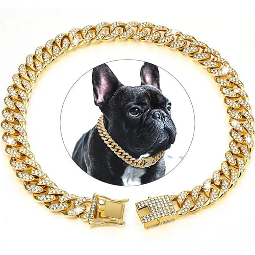 Gold chain pet collar