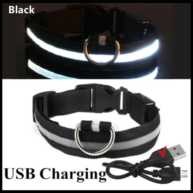 LED Glow-in-the-Dark Collar