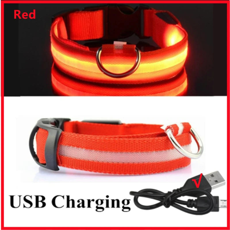 LED Glow-in-the-Dark Collar