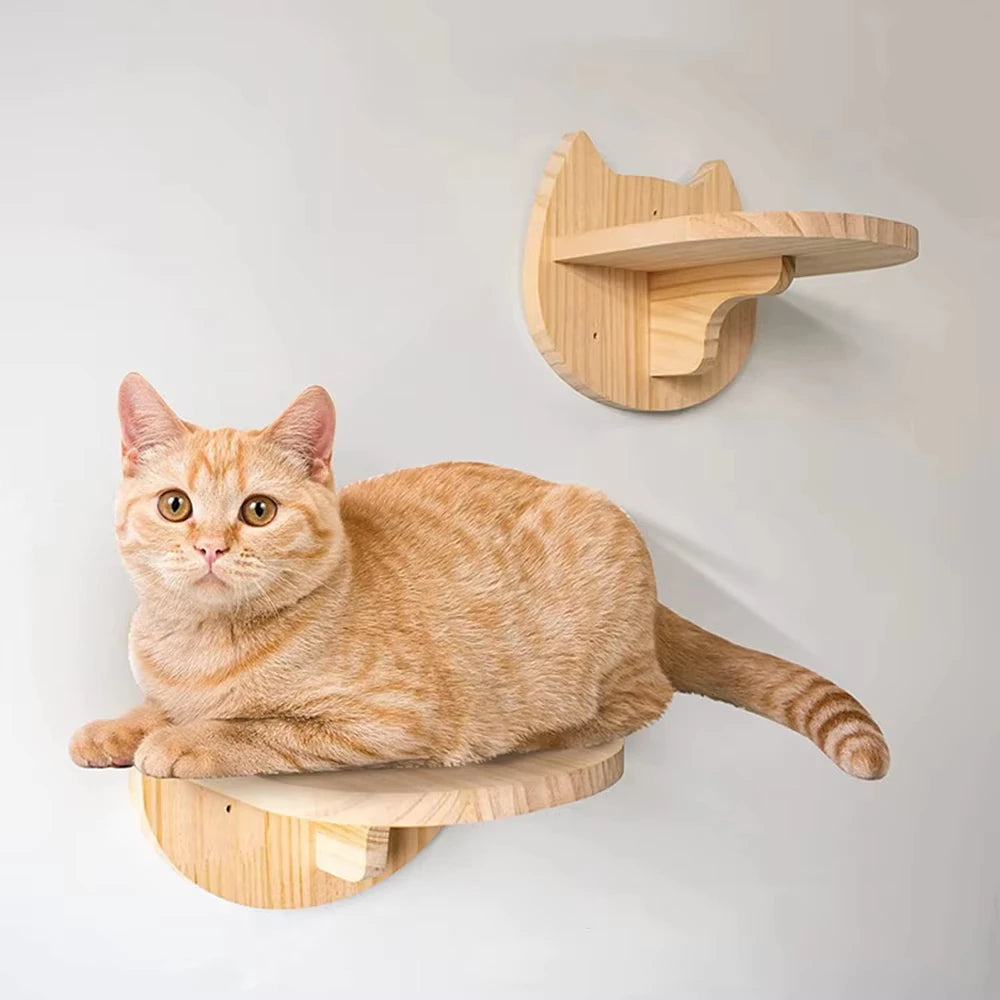Modular cat wall climbing shelf system