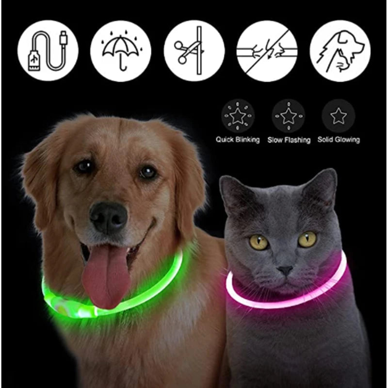 LED Glow-in-the-Dark Collar
