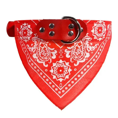 Bandana Print Collar