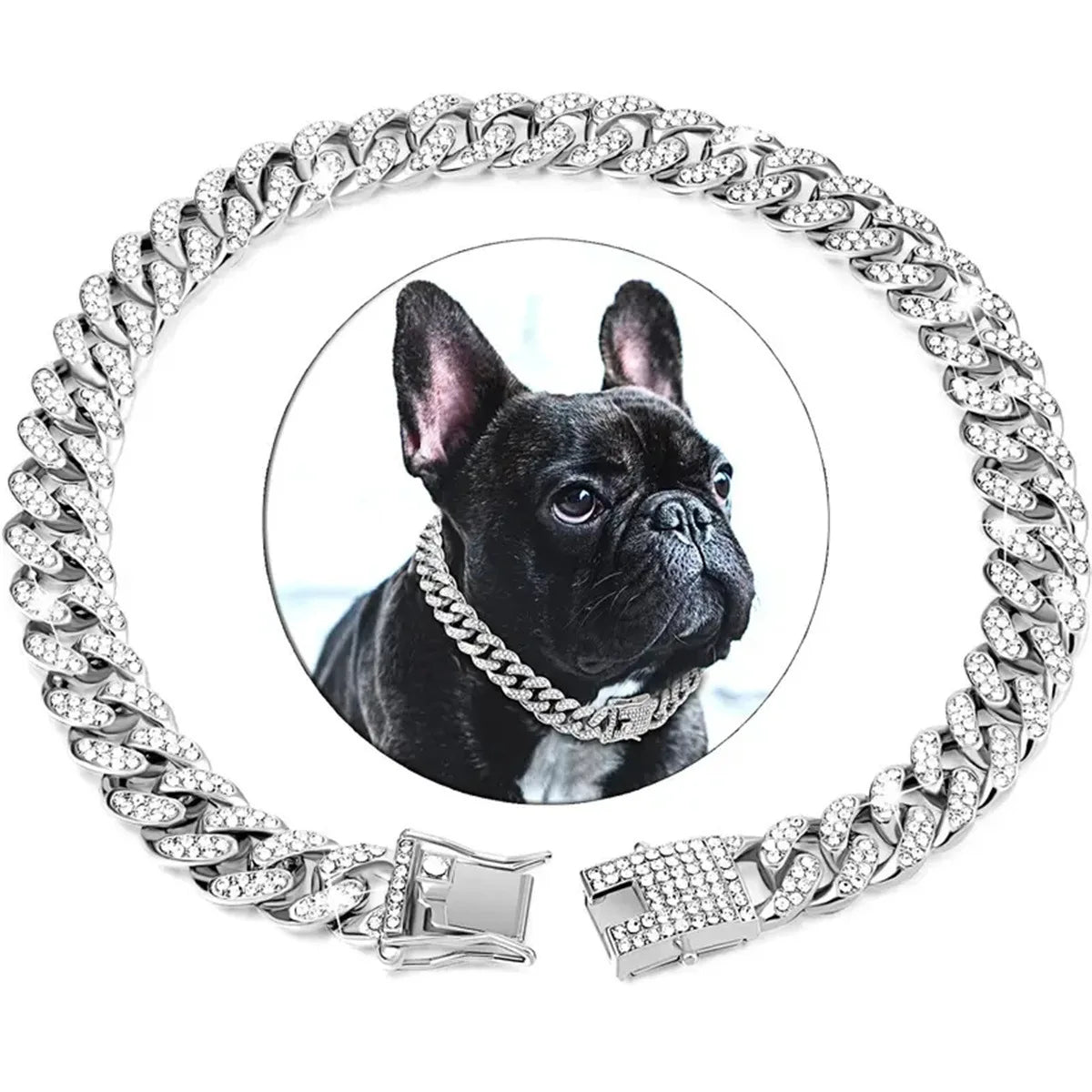 Gold chain pet collar