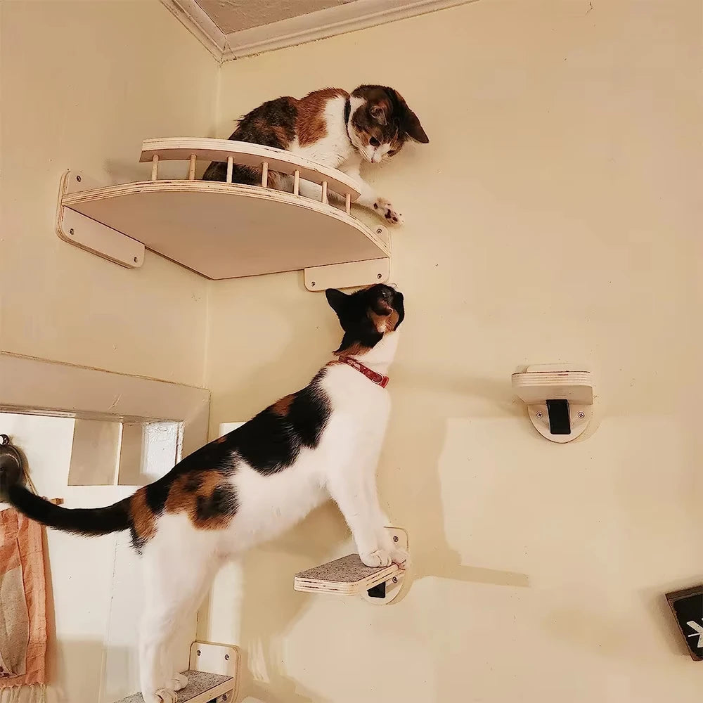 Modular cat wall climbing shelf system