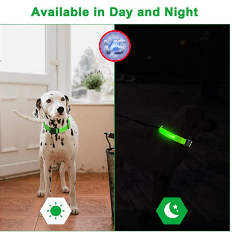 LED Glow-in-the-Dark Collar