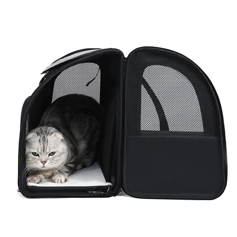 Cat carrier backpack with mesh ventilation