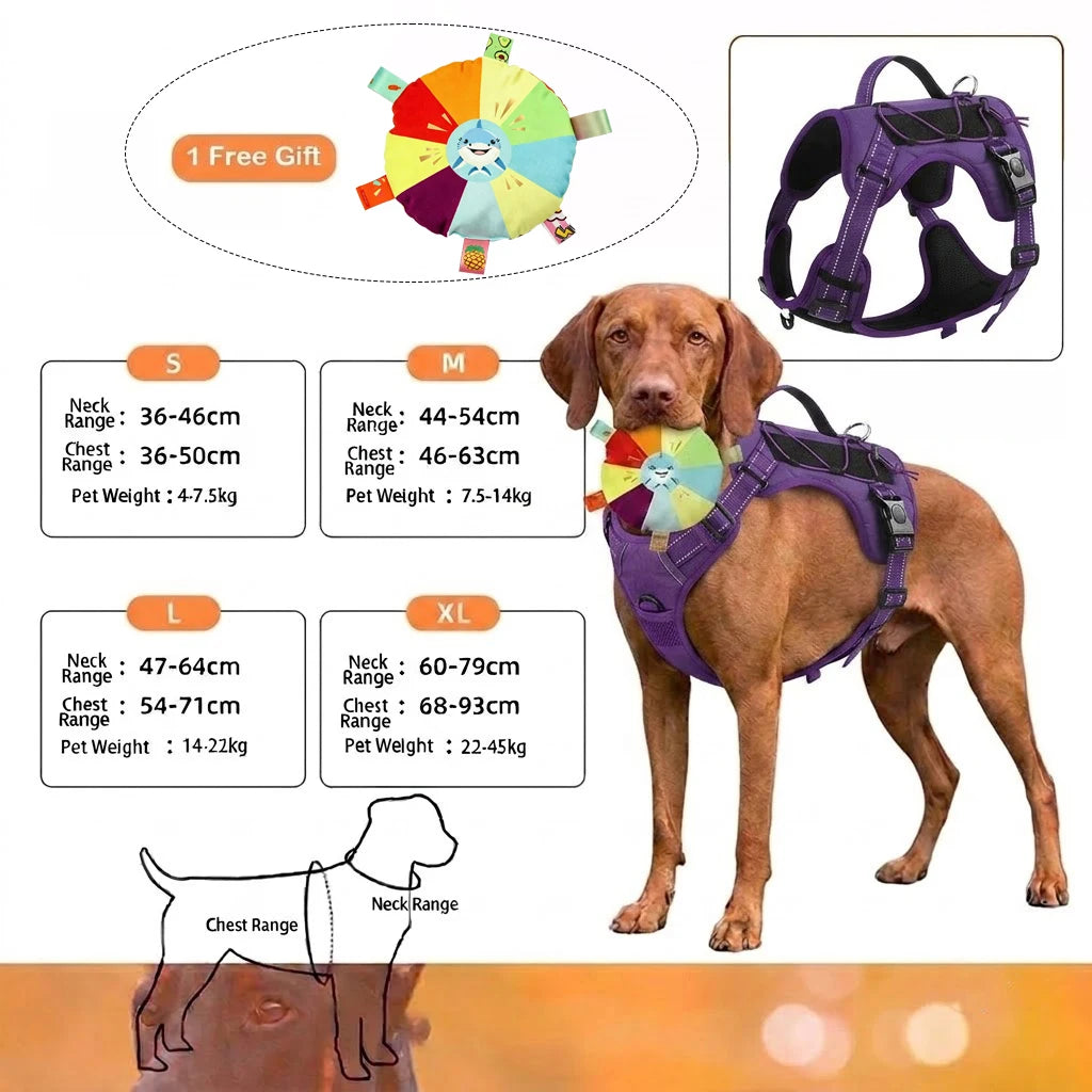 No-pull dog harness with reflective stitching