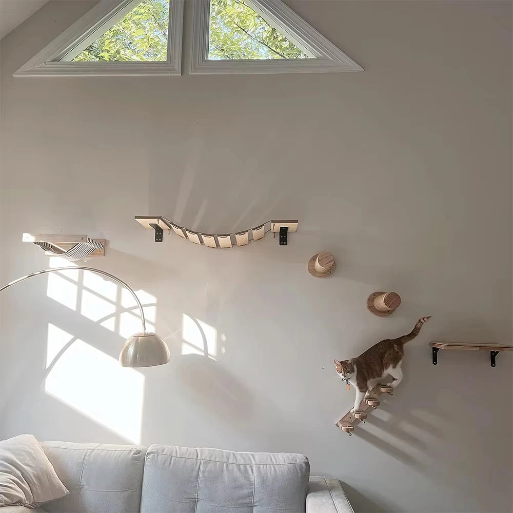 Modular cat wall climbing shelf system