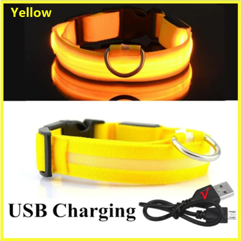 LED Glow-in-the-Dark Collar