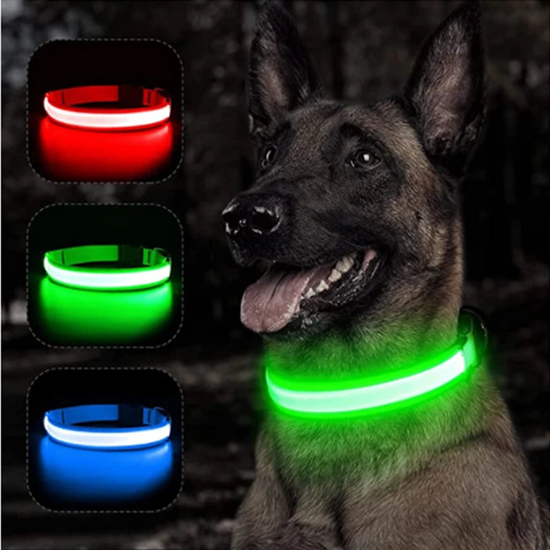 LED Glow-in-the-Dark Collar