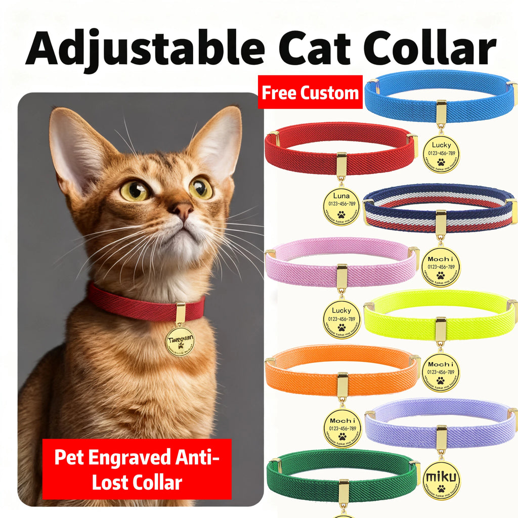 Breakaway AirTag Collar
