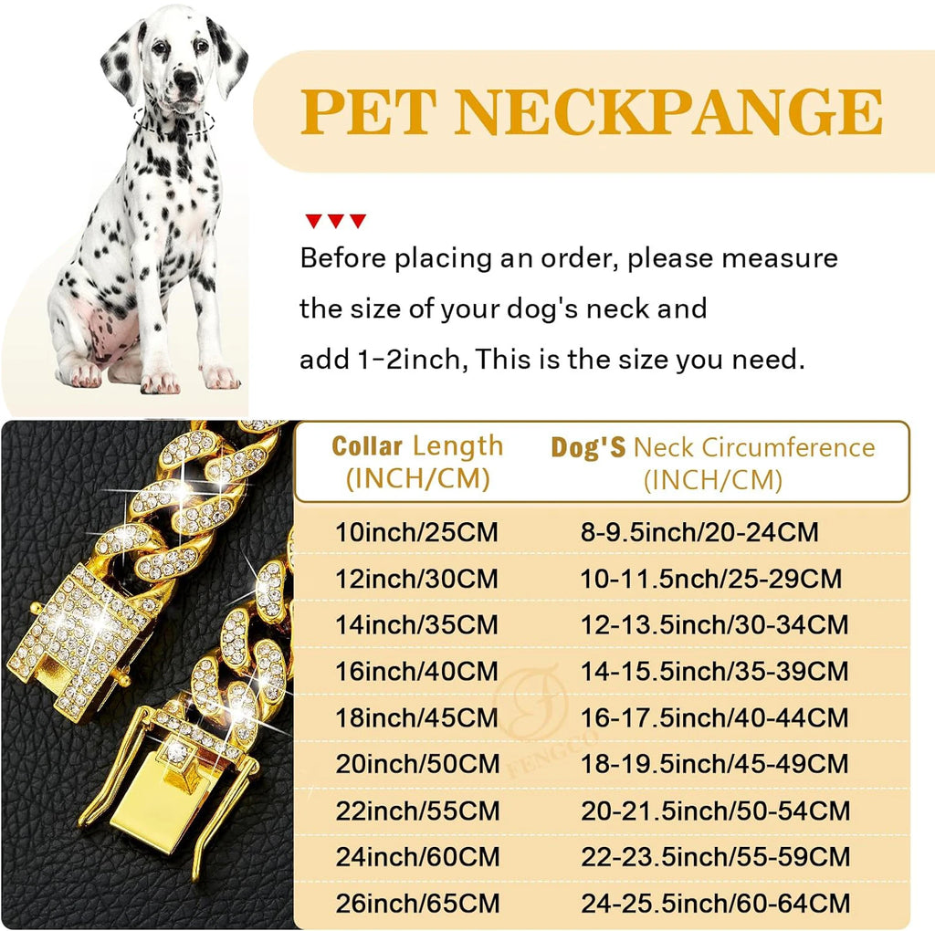 Gold chain pet collar