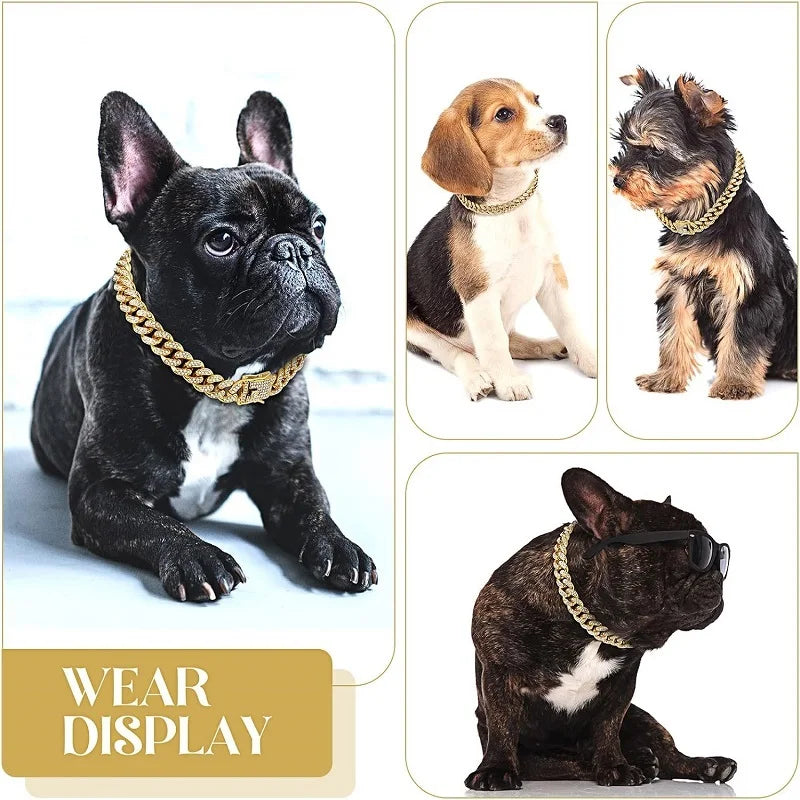 Gold chain pet collar