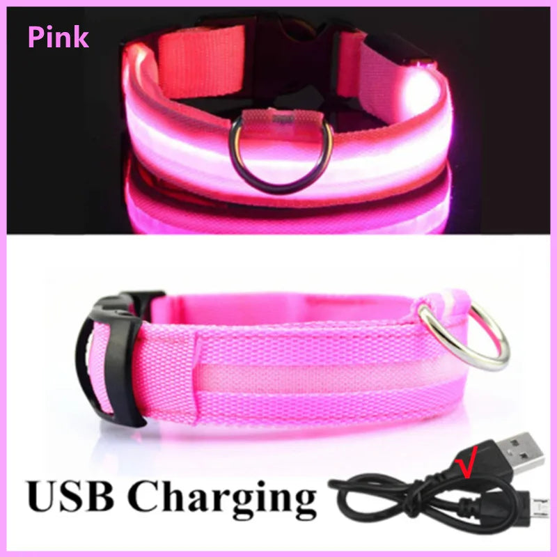 LED Glow-in-the-Dark Collar