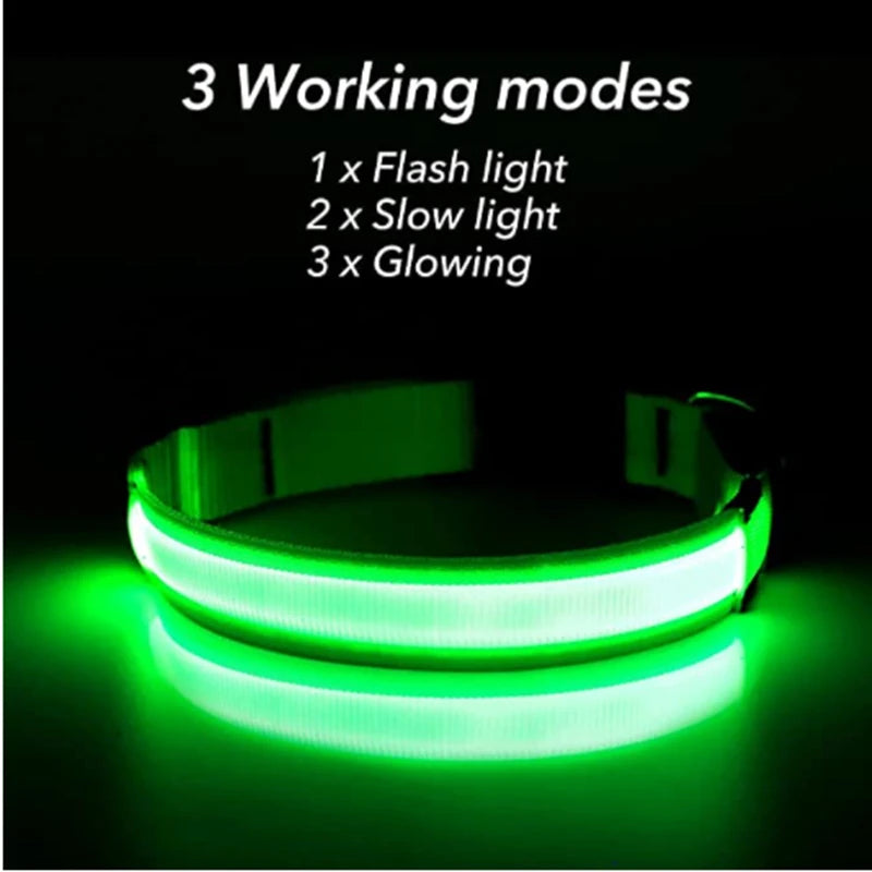 LED Glow-in-the-Dark Collar