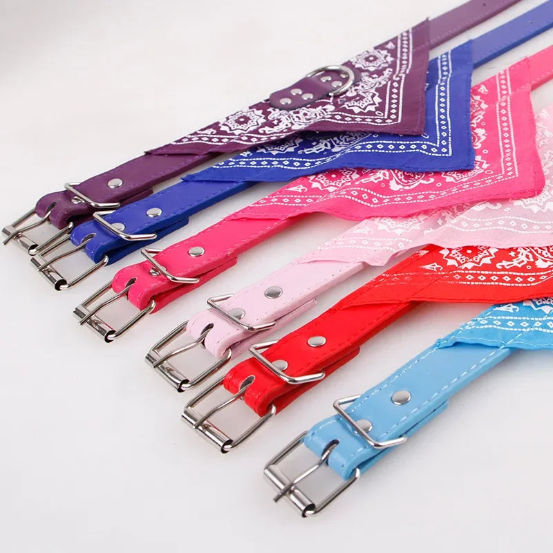 Bandana Print Collar