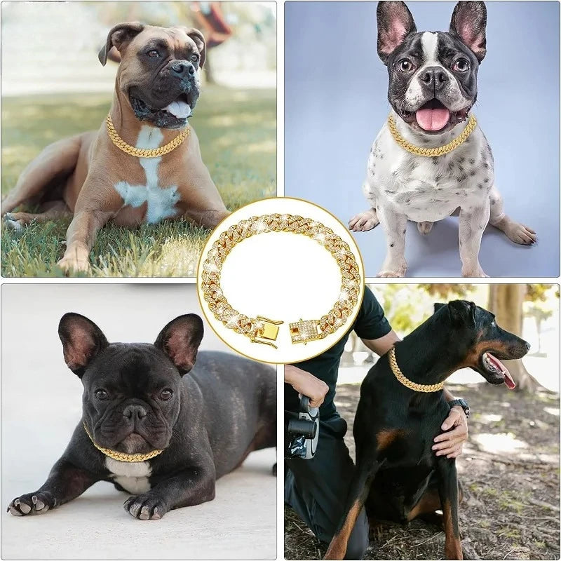 Gold chain pet collar