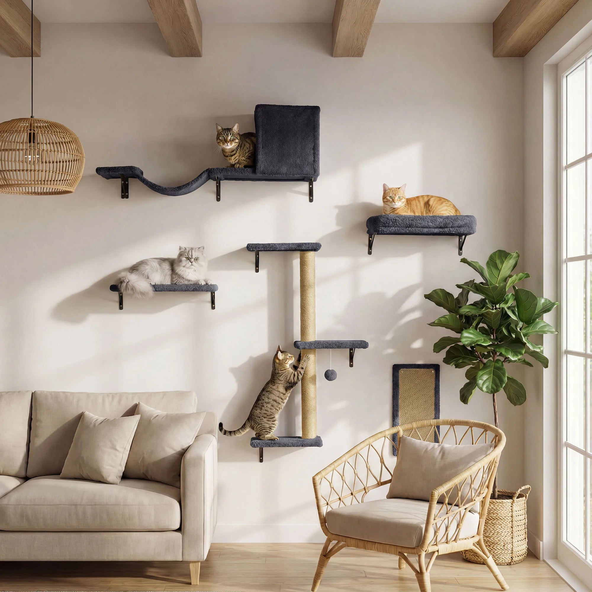 Solid wood cat wall climbing furniture set