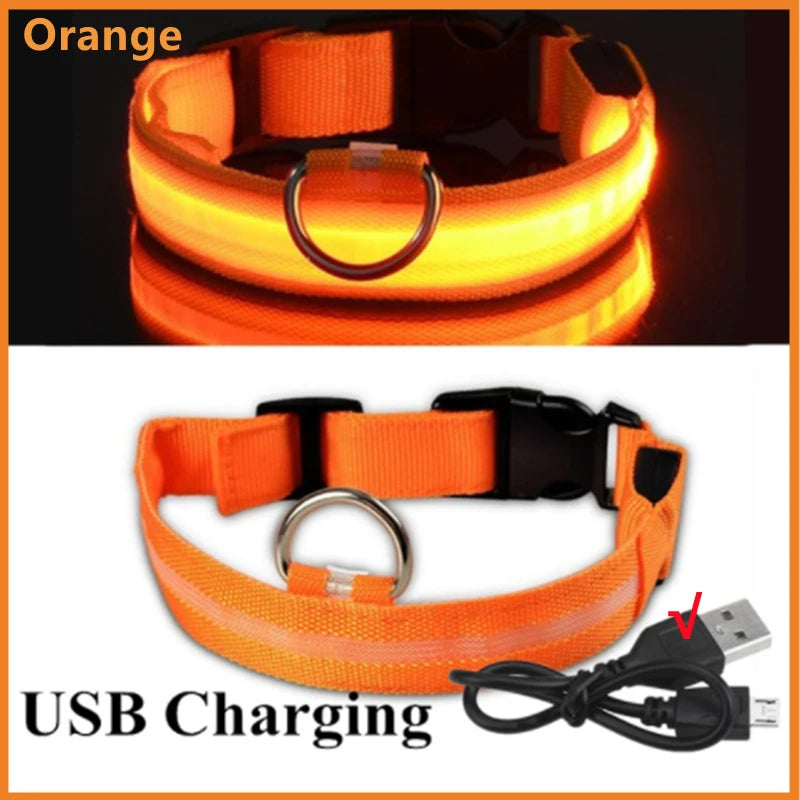 LED Glow-in-the-Dark Collar