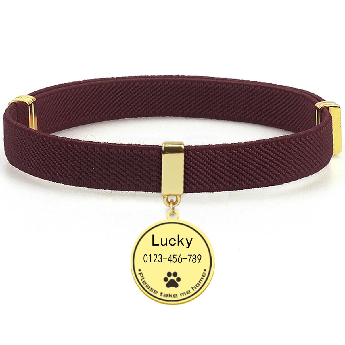 Breakaway AirTag Collar