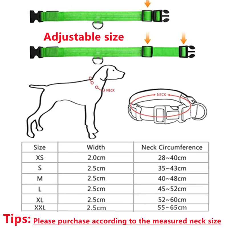 LED Glow-in-the-Dark Collar