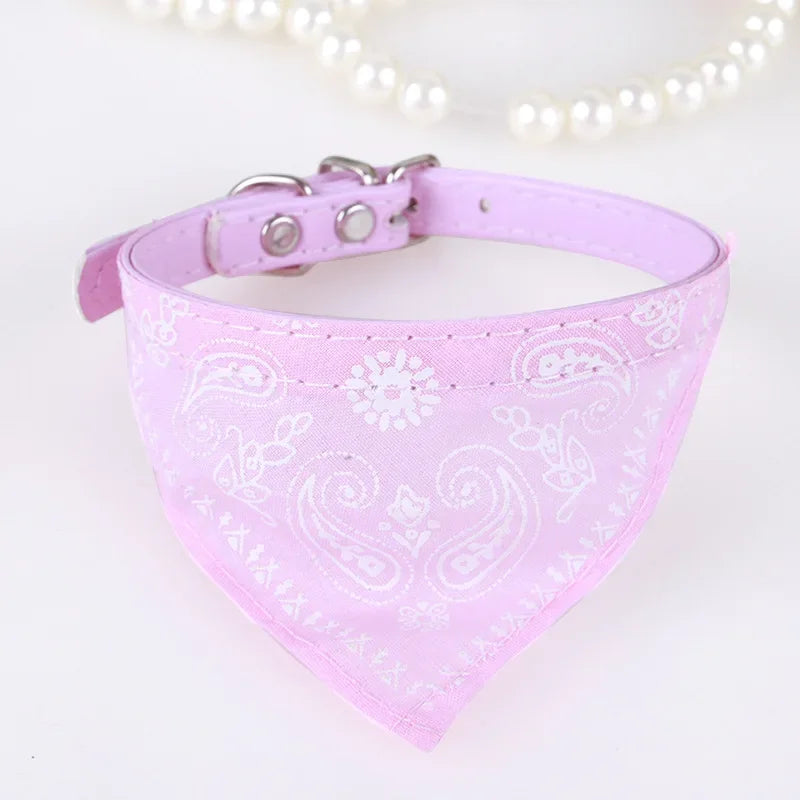 Bandana Print Collar