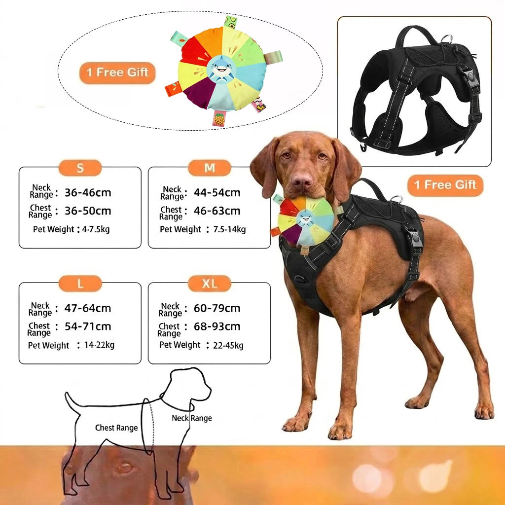 No-pull dog harness with reflective stitching
