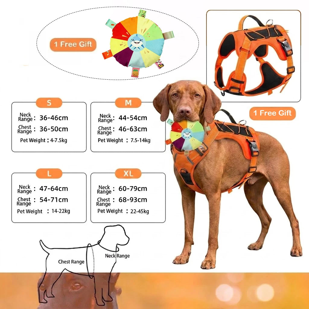 No-pull dog harness with reflective stitching