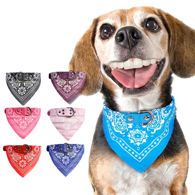 Bandana Print Collar