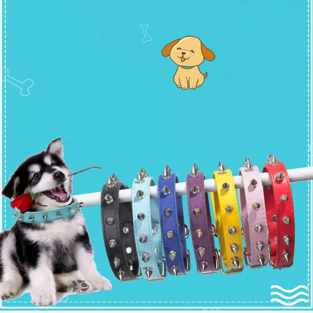 Studded leather pet collar