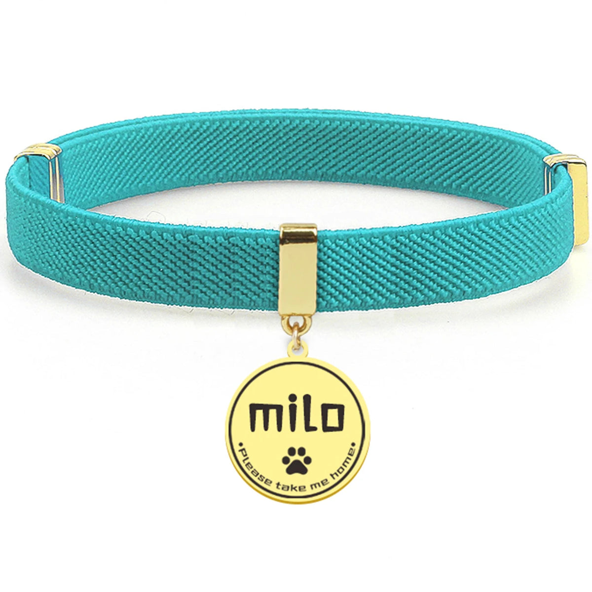 Breakaway AirTag Collar