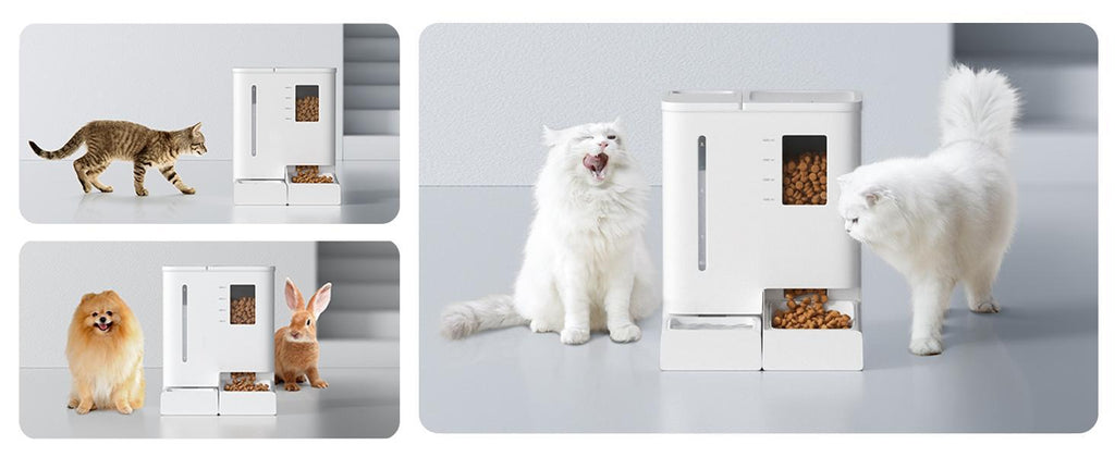 WiFi automatic pet feeder and waterer 2-in-1 set