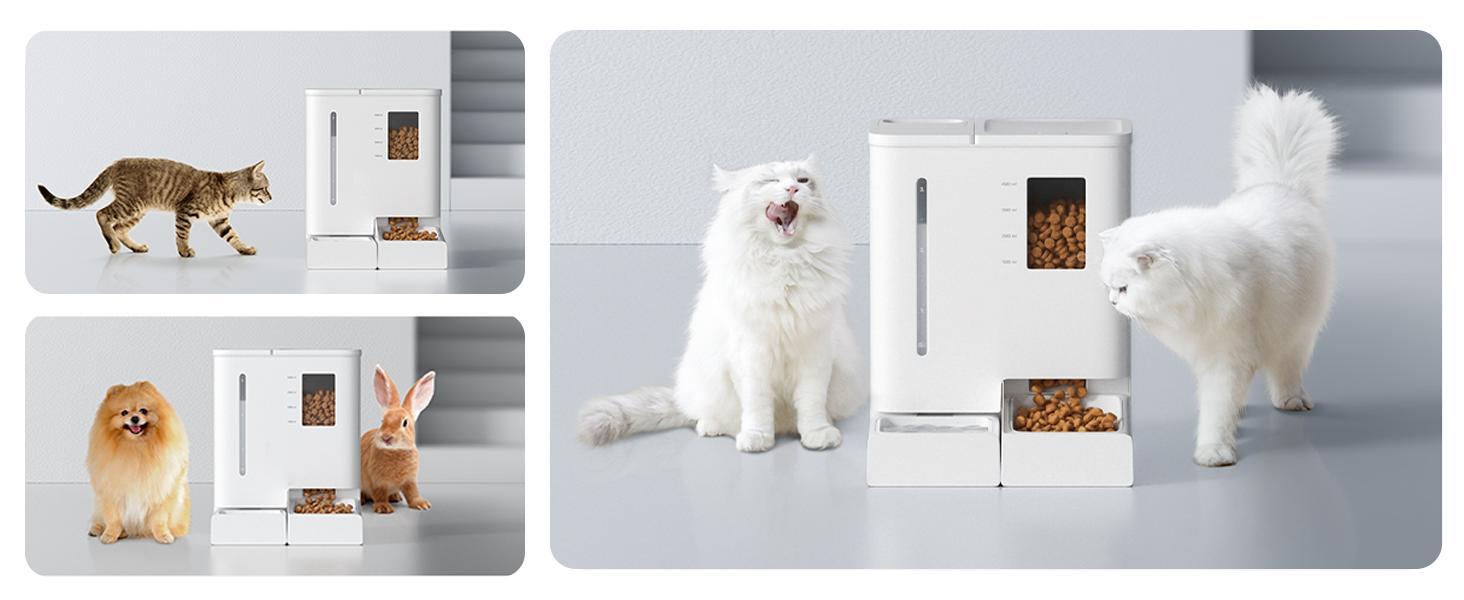 WiFi automatic pet feeder and waterer 2-in-1 set