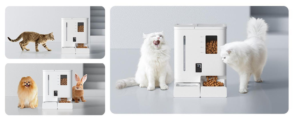 WiFi automatic pet feeder and waterer 2-in-1 set