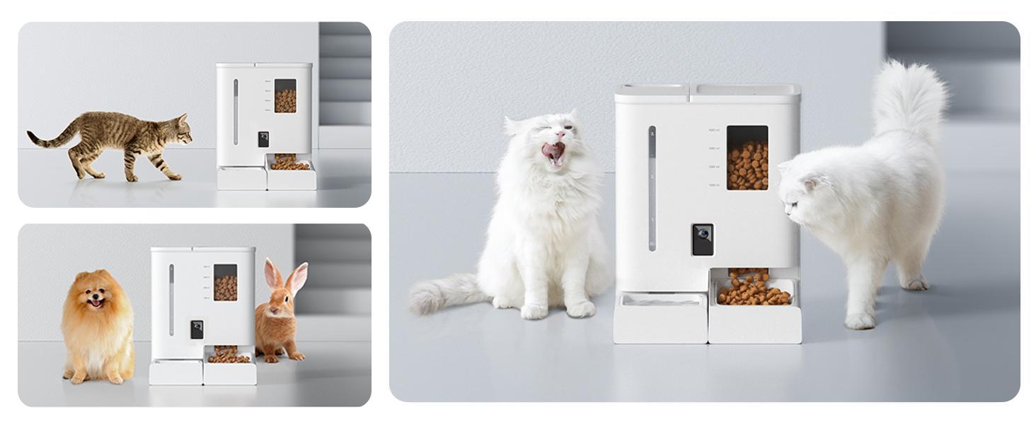 WiFi automatic pet feeder and waterer 2-in-1 set