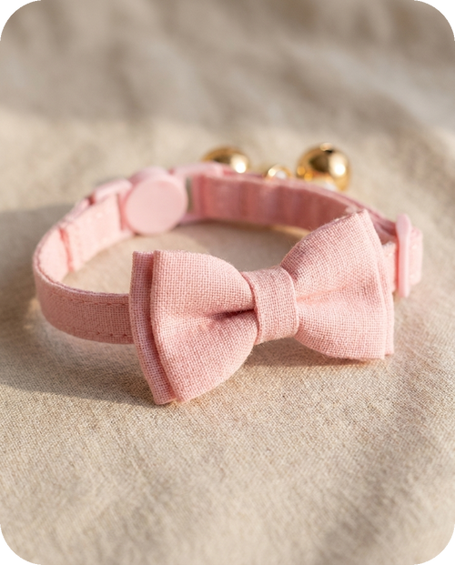 Bowtie Cat Collar detail — Alder Pets & Co.