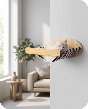 cat hammock a