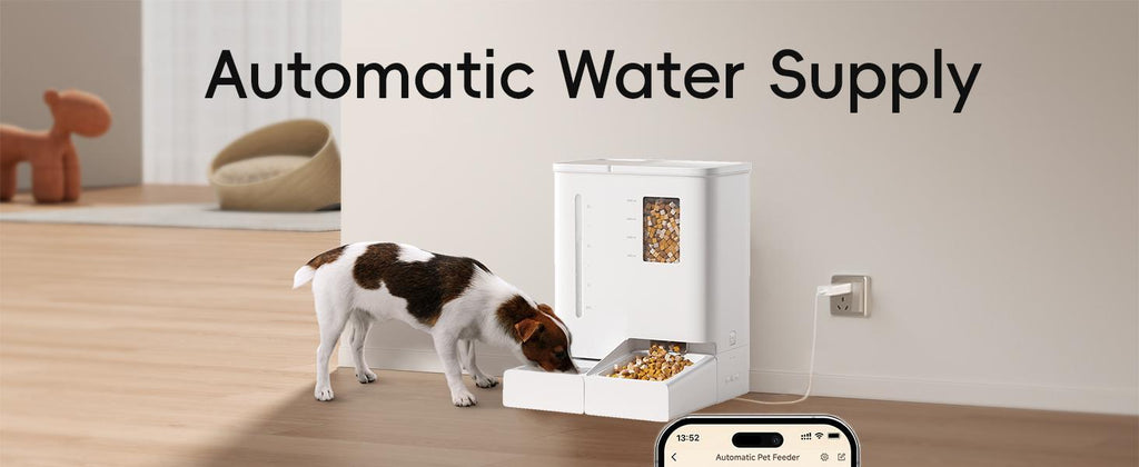 WiFi automatic pet feeder and waterer 2-in-1 set