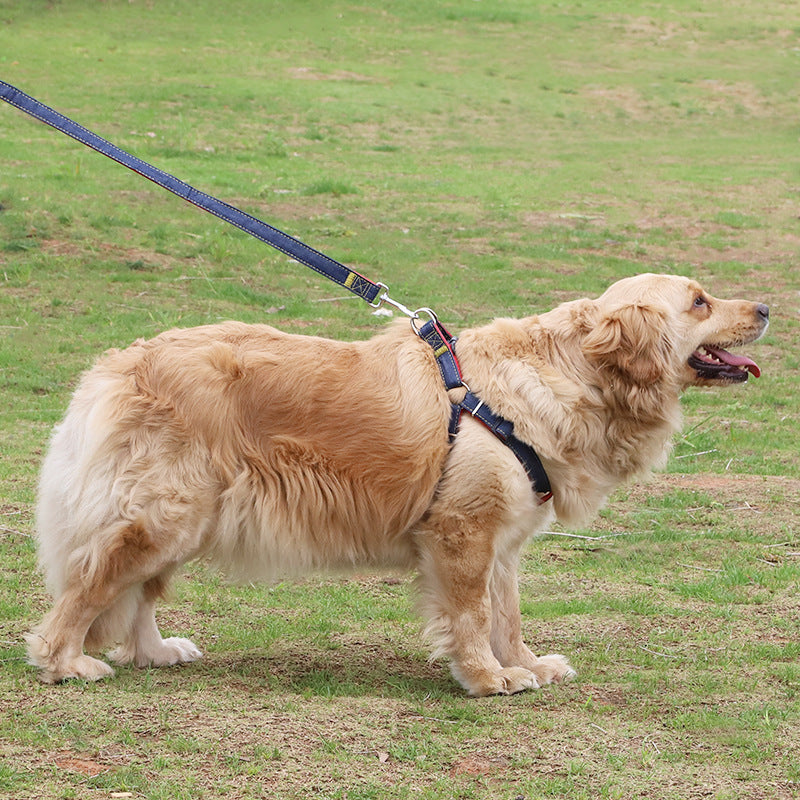 Denim dog harness and leash set